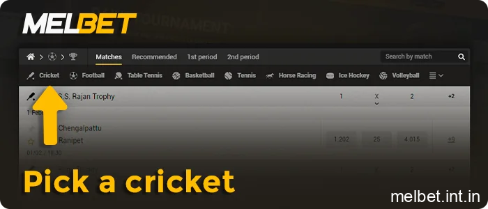 In the sports betting menu, select Cricket, step 6